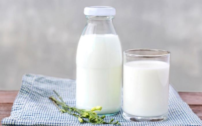 О молоке и молочных продуктах в рационе питания