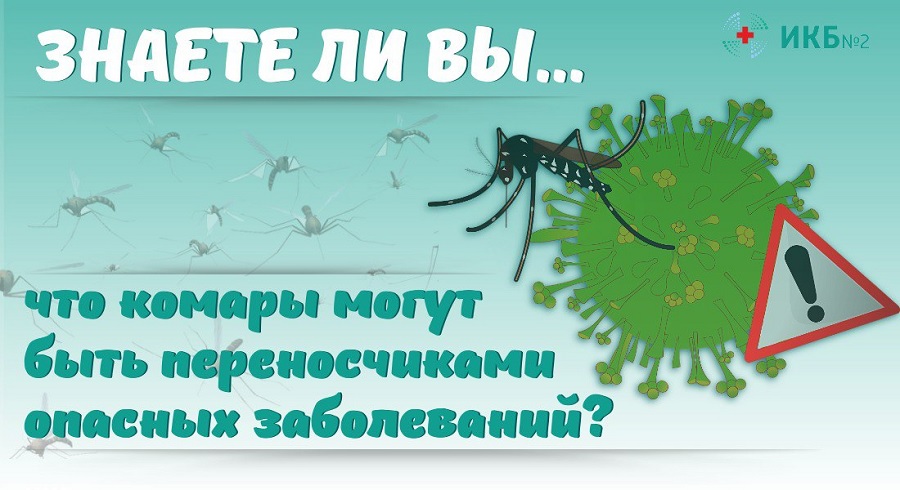 Комары могут быть переносчиками опасных заболеваний?