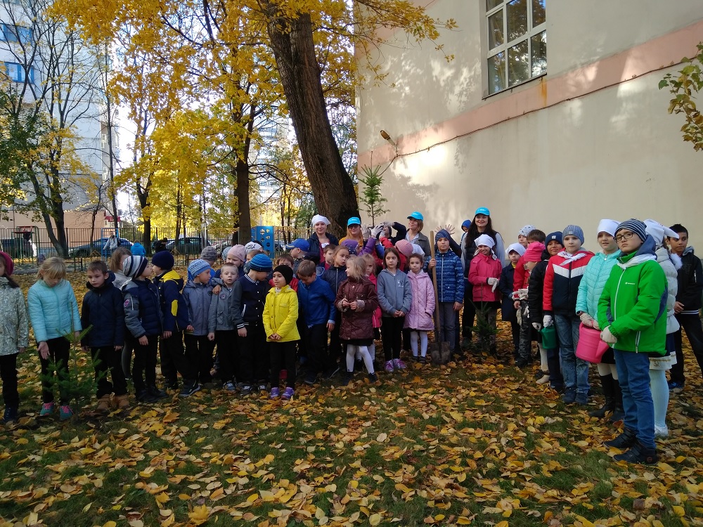 Экоотряд и Молодёжный совет ИКБ № 2 высадили сосновую аллею возле школы 2101 Москва