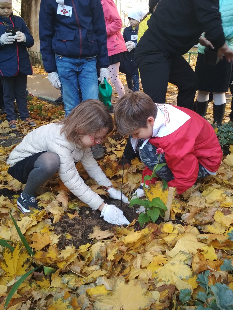 Дети сажают деревца